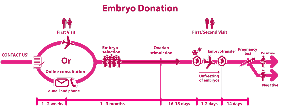 EMBRYO DONATION process