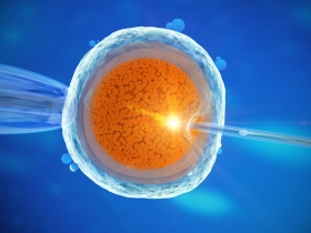 Why Do IVF Embryo Numbers Drop So Quickly? 
