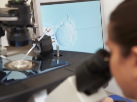 Starting IVF Again After a Break 