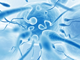 Why Would a Fertility Clinic Want to Look More Closely at Sperm? 